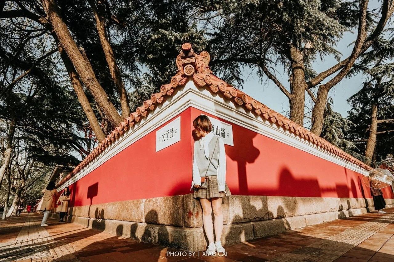 <a target='_blank' href='https://bbs.youxiake.com/mdd/2342.html'>青岛</a>