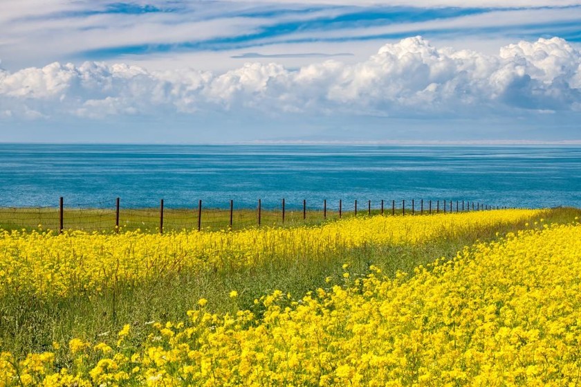 <a target='_blank' href='https://bbs.youxiake.com/mdd/917.html'>西宁</a>