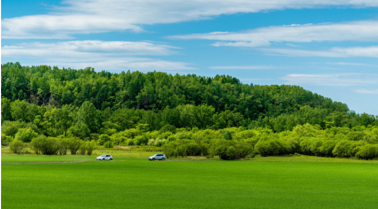 <a target='_blank' href='https://bbs.youxiake.com/mdd/5578.html'>呼伦贝尔</a>