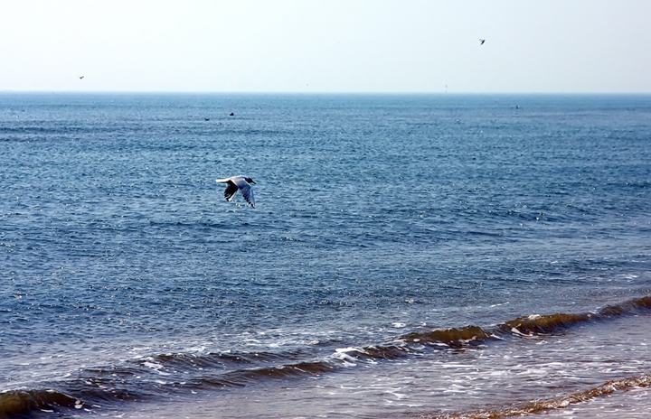 <a target='_blank' href='https://bbs.youxiake.com/mdd/8422.html'>秦皇岛</a>