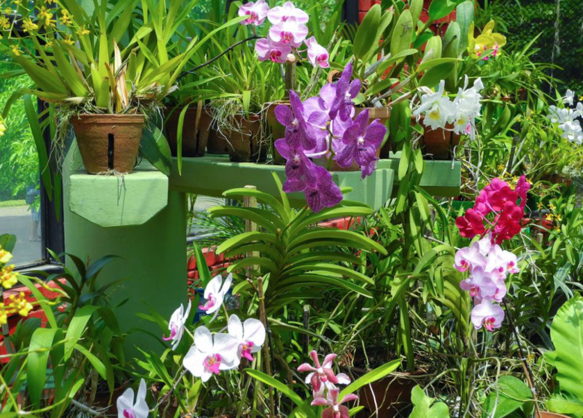 <a target='_blank' href='https://bbs.youxiake.com/mdd/710.html'>斯里兰卡</a>