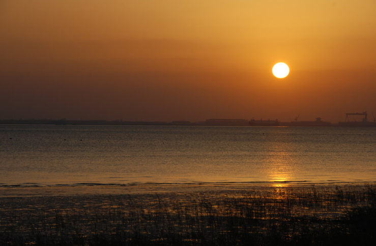 <a target='_blank' href='https://bbs.youxiake.com/mdd/2281.html'>崇明岛</a>