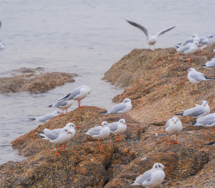 <a target='_blank' href='https://bbs.youxiake.com/mdd/2342.html'>青岛</a>