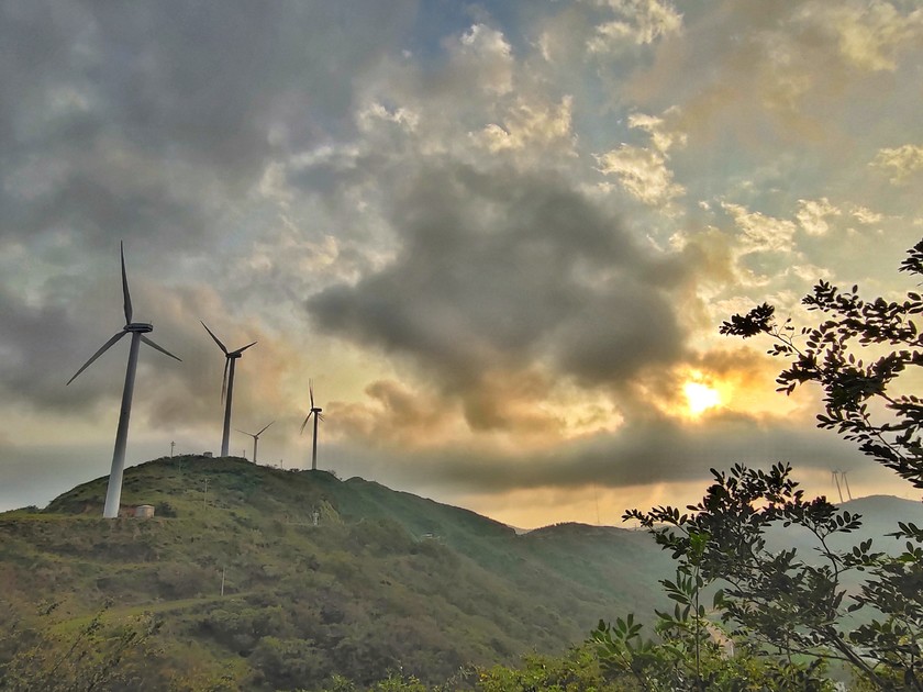 <a target='_blank' href='https://bbs.youxiake.com/mdd/5615.html'>衢山岛</a>