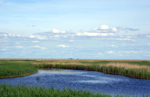 <a target='_blank' href='https://bbs.youxiake.com/mdd/978.html'>扎龙湿地</a>